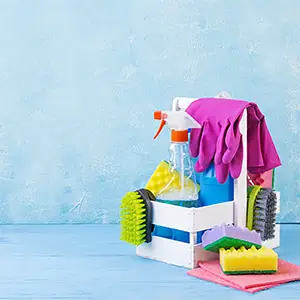 Herramientas y Accesorios de Limpieza