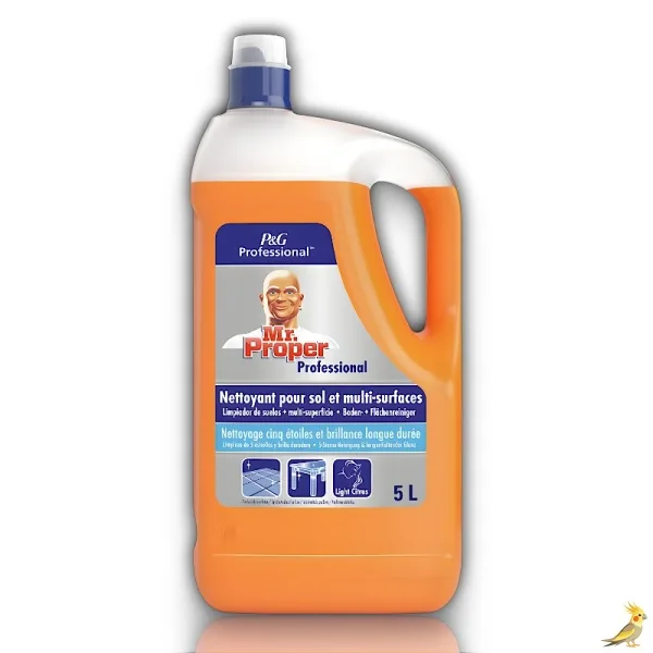 Don Limpio Suelos y Superficies 5L